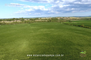 Os Serranos - Madrugada [VDownloader].00_00_57_06.Quadro014_d2dcdd004d167ad253a7e7b4d77c103315932cb9.jpg